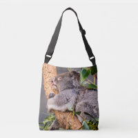 Petit koala doux