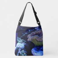 Photo sous la mer sur une
