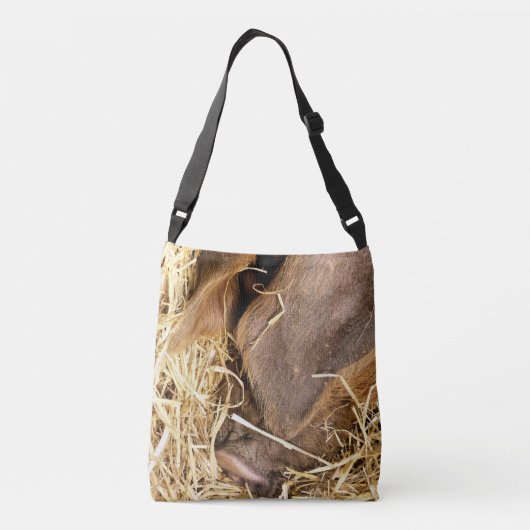 SAC AJUSTABLE PIG (Dos)