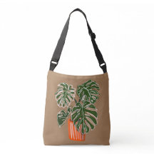 Plante de carrosserie Plante Monstera Pots
