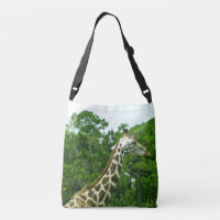 Profil de girafe parmi les arbres