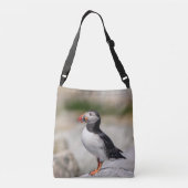 Sac Ajustable Puffin Atlantique en Machias, Maine (Dos)
