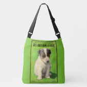 Sac Ajustable Septembre 1906 Ladies Home Journal couverture chio (Devant)