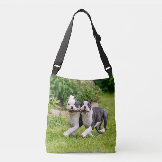 Sac Ajustable Sympa drôles Boston Terrier chiens chiots jouer - (Devant)