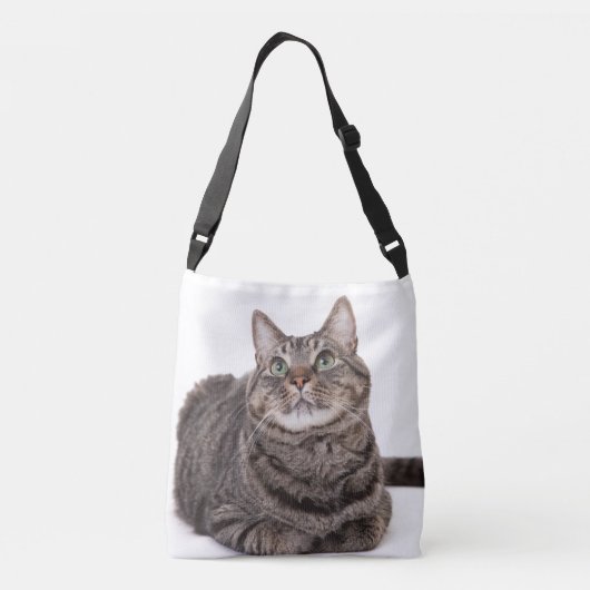 Sac Ajustable Tabby Gris (Dos)