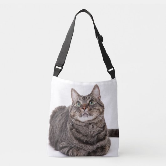 Sac Ajustable Tabby Gris (Devant)