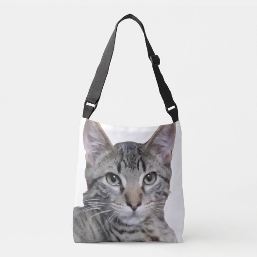 Sac Ajustable Tabby Kitten (Devant)