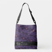 Sac Ajustable Textura #31 de obra Horizonte (Dos)