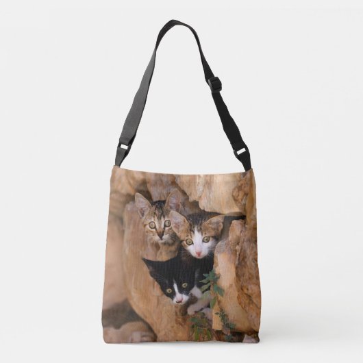 Sac Ajustable Trois Cute Curious Chat Kittens Funny Photo (Dos)