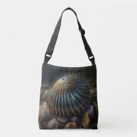 Urchine de Deep Sea