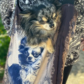 Sac Ajustable Vintage Long Haired Chihuahua