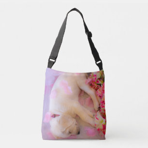 Sac Ajustable Voile à roulettes 01