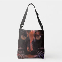 Yeux de chat