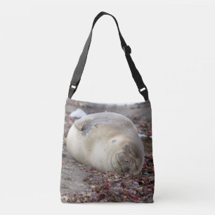 Sac Ajustable Young elephant seal