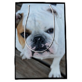 Sac anglais de cadeau de chien de bouledogue (Devant)