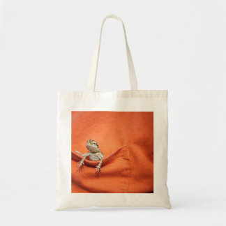 sac barbu de dragon