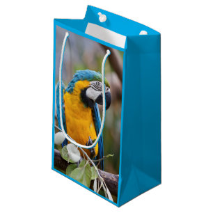 Sac bleu et jaune de cadeau d'ara