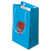 Sac cadeau (Dos Angle)