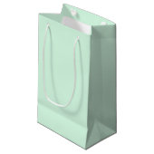 Sac cadeau à la menthe (Devant Angle)