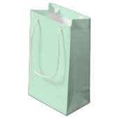Sac cadeau à la menthe (Dos Angle)