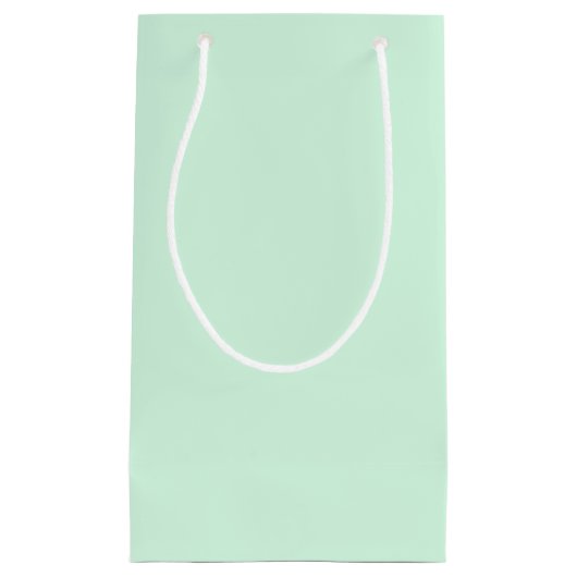Sac cadeau à la menthe (Devant)