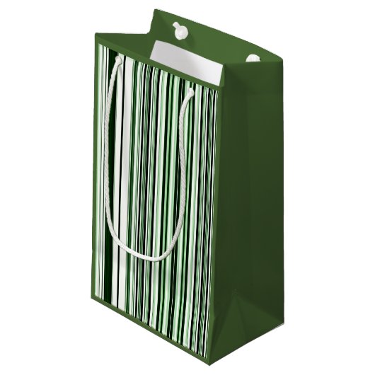 Sac cadeau à rayures verticales vertes (Devant Angle)