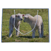 Sac Cadeau Agneaux de Printemps (Devant)