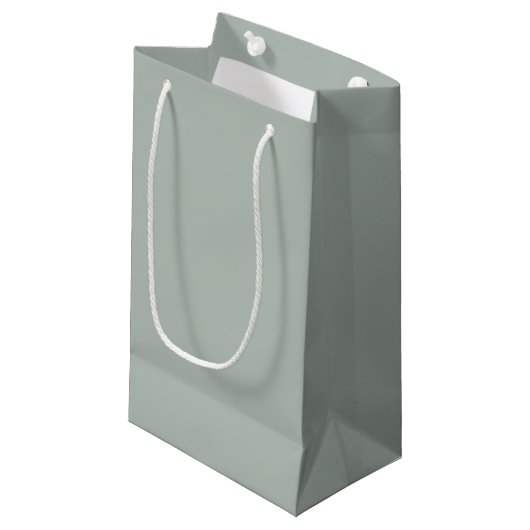 Sac cadeau Ash Grey (Devant Angle)