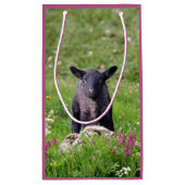 Sac cadeau Baa Baa Black Sheep (Dos)