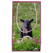 Sac cadeau Baa Baa Black Sheep (Devant)