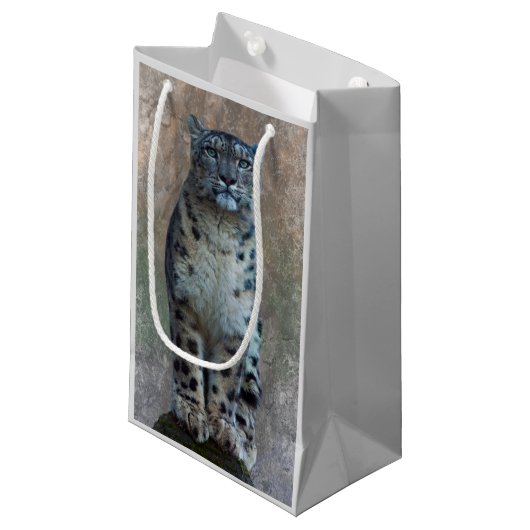 Sac Cadeau Belvédère Léopard (Devant Angle)