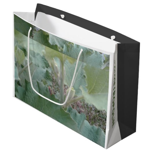 Sac cadeau/Carte/ MMETROPOLIM NATURE DESIGN Grand  (Devant Angle)