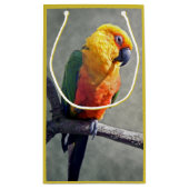 Sac cadeau Conure Jenday (Dos)