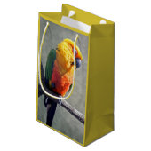 Sac cadeau Conure Jenday (Dos Angle)