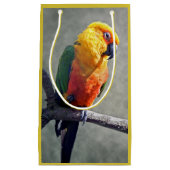 Sac cadeau Conure Jenday (Devant)