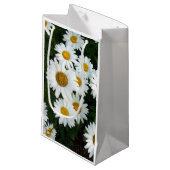 Sac cadeau Daisy Delight (Devant Angle)