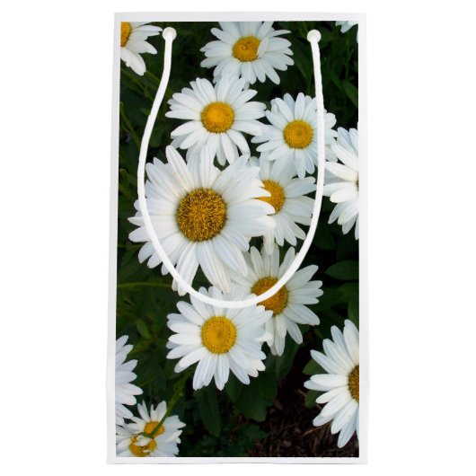 Sac cadeau Daisy Delight (Devant)