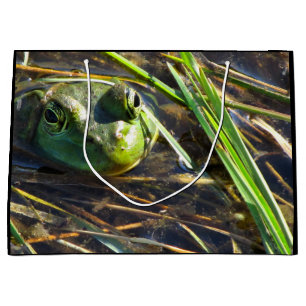 Sac cadeau de grenouille