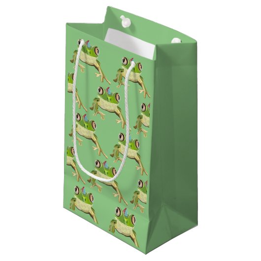 Sac cadeau de grenouille (Devant Angle)