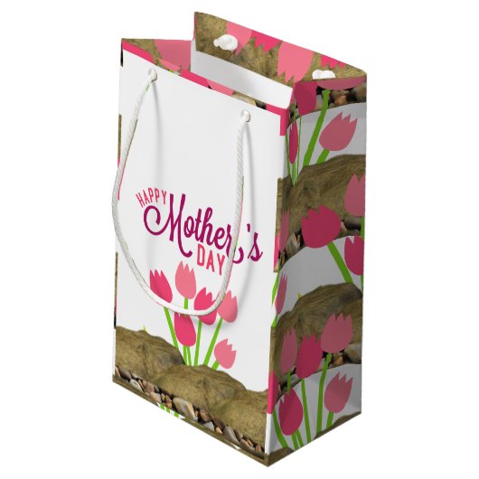 Sac cadeau de la fête des mères (Dos Angle)