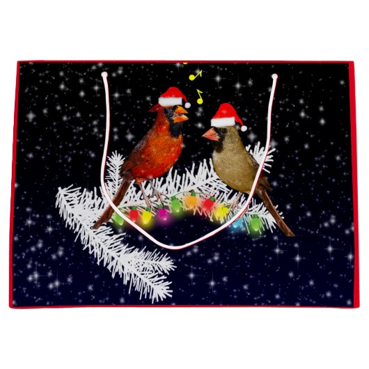 Sac cadeau de Noël du cardinal (Devant)