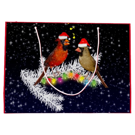 Sac cadeau de Noël du cardinal (Dos)