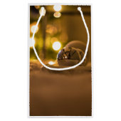 Sac cadeau de Noël illuminé (Dos)