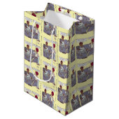 Sac cadeau de taux de divorce (Devant Angle)