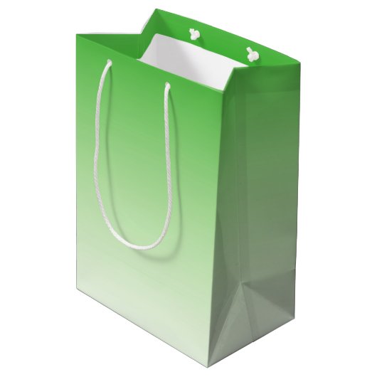 Sac cadeau dégradant vert foncé à vert clair (Dos Angle)