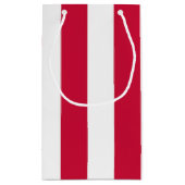 Sac Cadeau Drapeau Américain (Dos)