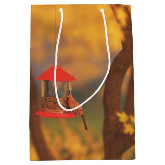 Sac cadeau du Gardien d'automne (Devant)