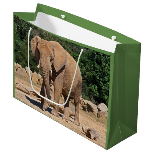 Sac Cadeau Éléphant Mâle (Devant Angle)