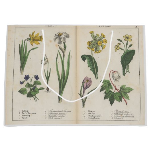 Sac cadeau Fleur sauvage antique rose et vert (Devant)