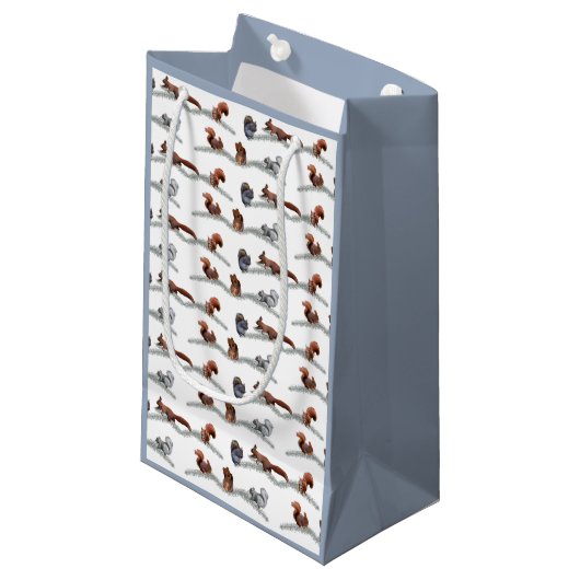 Sac Cadeau Frénésie Écureuil (Devant Angle)